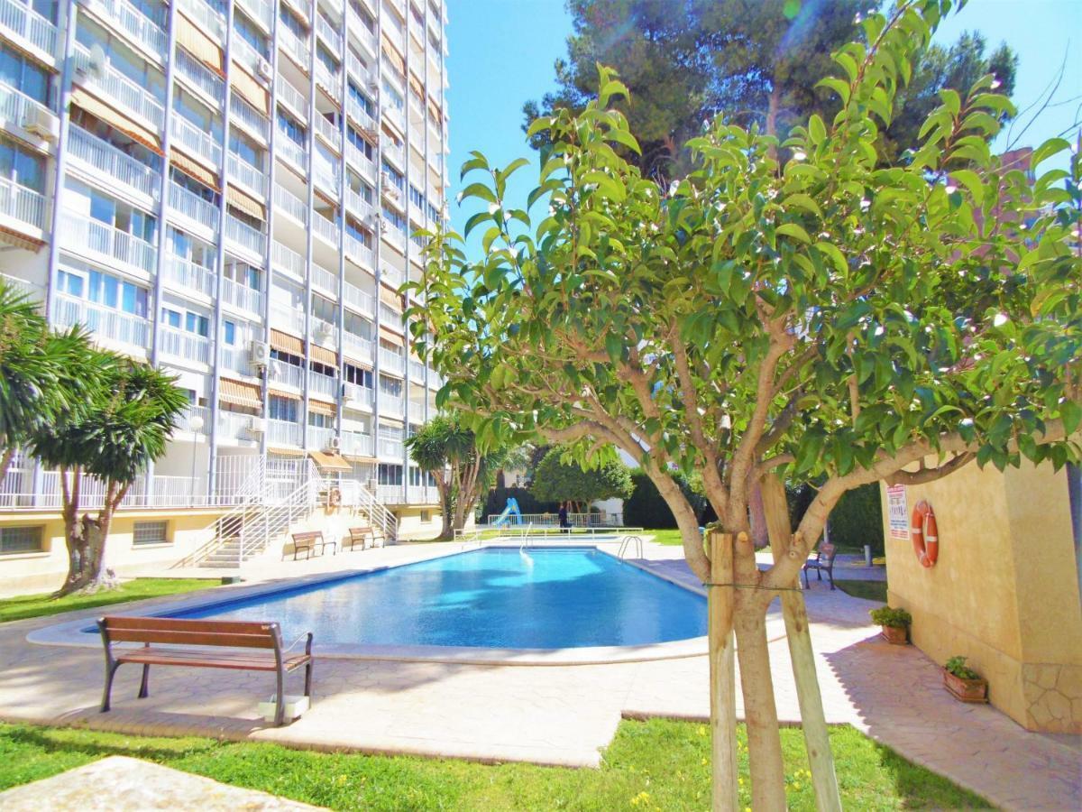 Apartamento Albatros 17-5 *