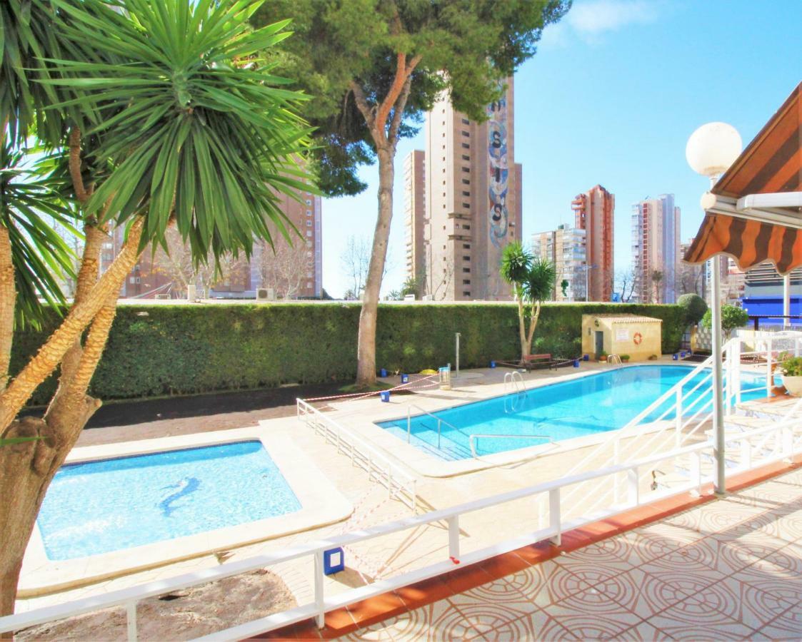 Albatros 17-5 Apartamento