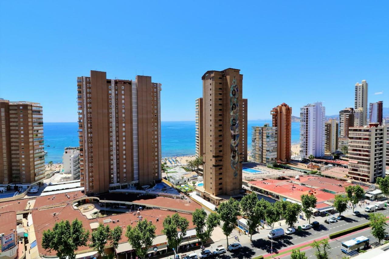 Albatros 17-5 Appartement